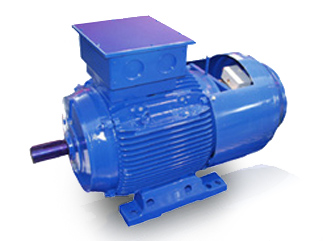 FM Brake Motors